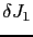 $ \delta J_1$
