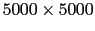 $ 5000\times 5000$
