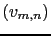 $ (v_{m,n})$