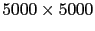 $ 5000\times 5000$
