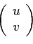 \begin{displaymath}\displaystyle \left(
\begin{array}{c} u  v \end{array} \right)\end{displaymath}