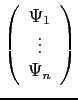 $ \displaystyle \left( \begin{array}{c}
\Psi_1  \vdots  \Psi_n \end{array} \right)$