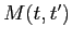 $ M(t,t')$