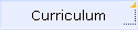 Curriculum