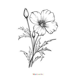 A. Antonini